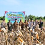 WhatsApp Image 2026-03-10 at 11.34.53