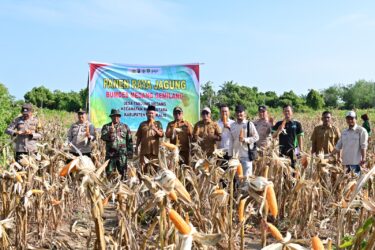 WhatsApp Image 2026-03-10 at 11.34.53