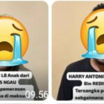 WhatsApp Image 2026-03-10 at 11.43.47