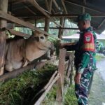 WhatsApp Image 2026-03-10 at 12.51.52