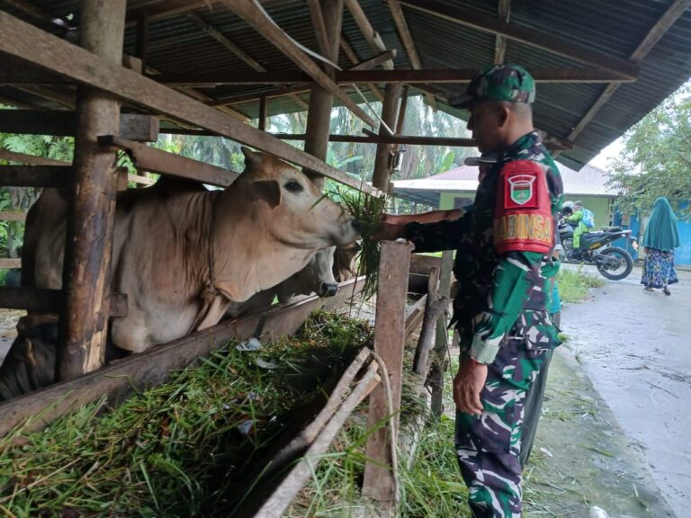 WhatsApp Image 2026-03-10 at 12.51.52