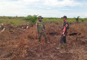 WhatsApp Image 2026-03-10 at 12.52.12