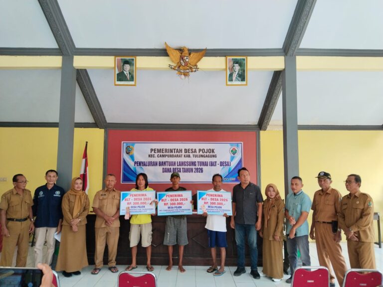 WhatsApp Image 2026-03-10 at 15.03.36