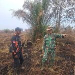 WhatsApp Image 2026-03-11 at 12.26.56