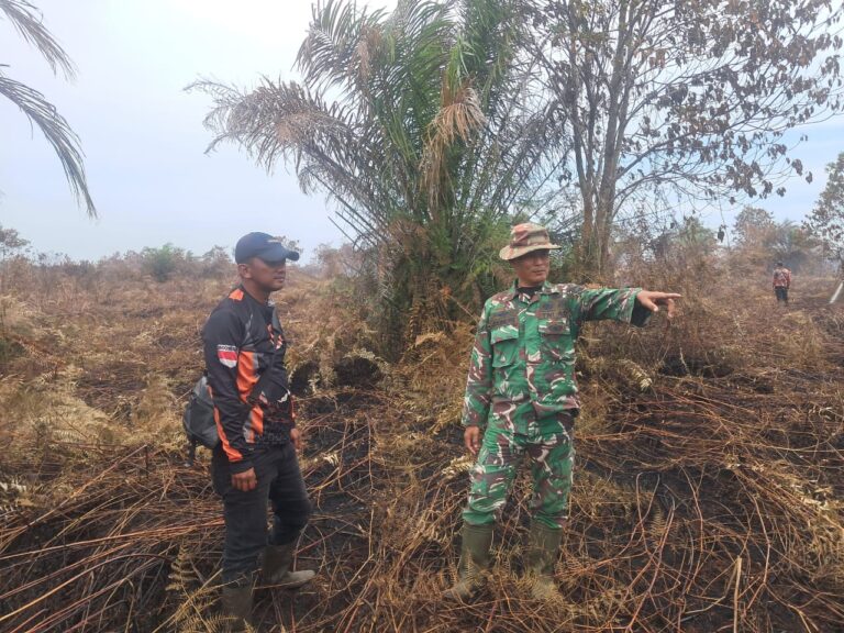 WhatsApp Image 2026-03-11 at 12.26.56