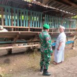 WhatsApp Image 2026-03-11 at 12.29.07