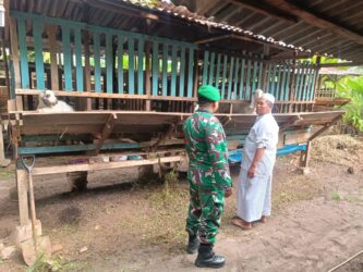 WhatsApp Image 2026-03-11 at 12.29.07