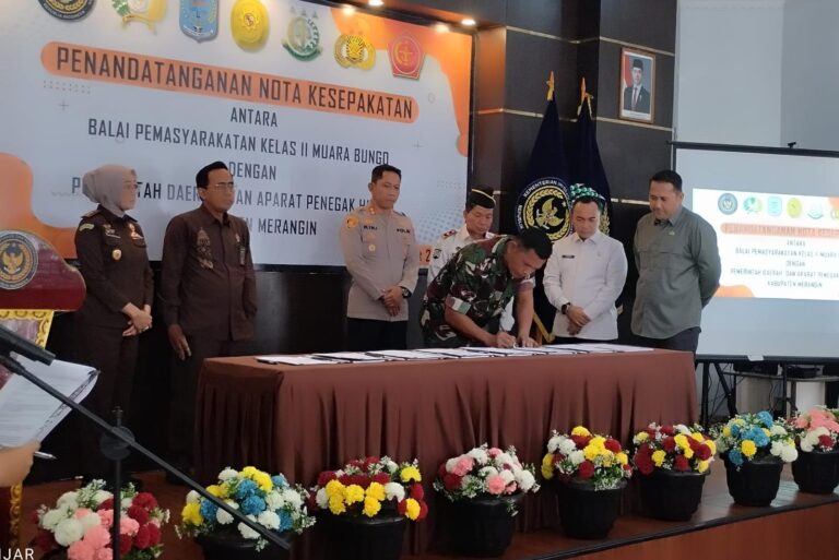 WhatsApp Image 2026-03-11 at 13.07.34