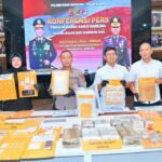 WhatsApp Image 2026-03-11 at 13.31.08