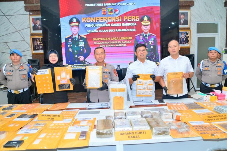 WhatsApp Image 2026-03-11 at 13.31.08