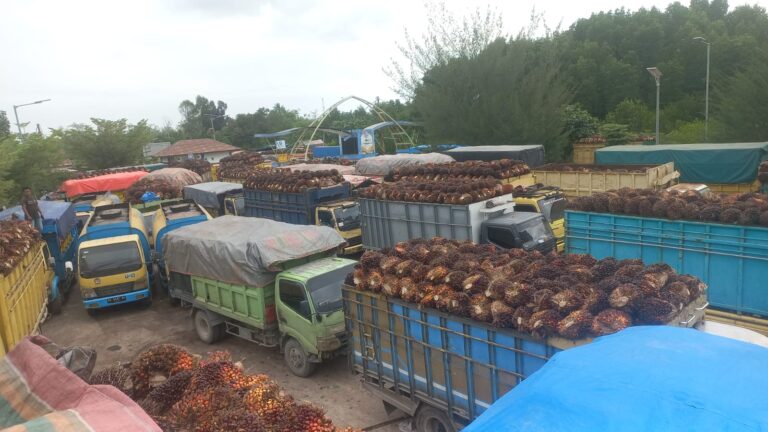 WhatsApp Image 2026-03-12 at 10.55.12