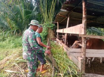 WhatsApp Image 2026-03-12 at 12.41.10