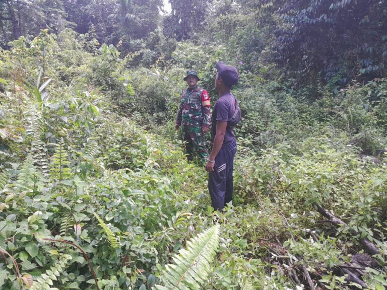 WhatsApp Image 2026-03-12 at 12.42.58