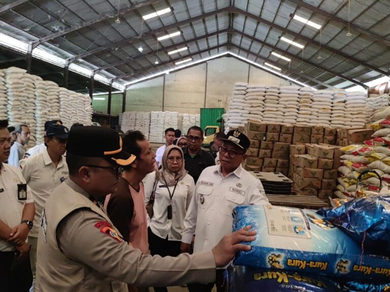 WhatsApp Image 2026-03-12 at 12.49.31