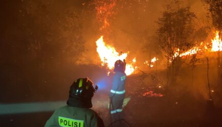 WhatsApp Image 2026-03-12 at 20.52.41