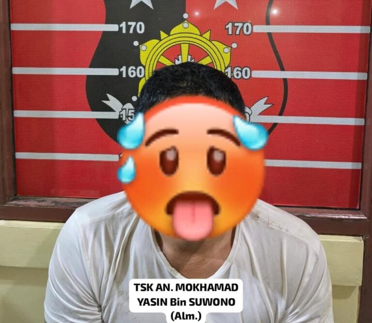 WhatsApp Image 2026-03-13 at 12.03.41