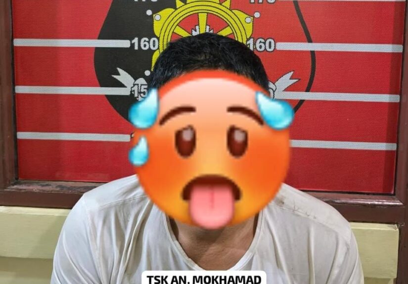 WhatsApp Image 2026-03-13 at 12.03.41