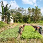 WhatsApp Image 2026-03-13 at 14.07.51