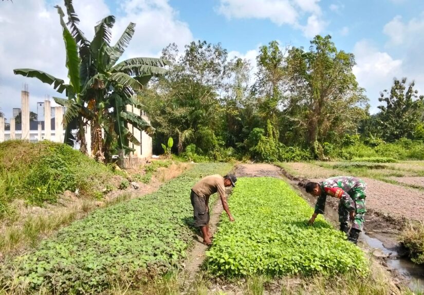 WhatsApp Image 2026-03-13 at 14.07.51