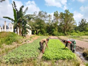 WhatsApp Image 2026-03-13 at 14.07.51