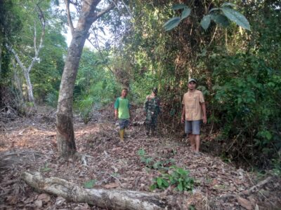 WhatsApp Image 2026-03-14 at 11.18.55