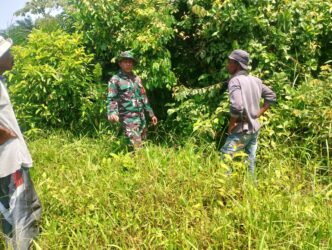 WhatsApp Image 2026-03-15 at 12.12.31