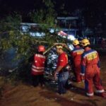 WhatsApp Image 2026-03-16 at 08.56.28