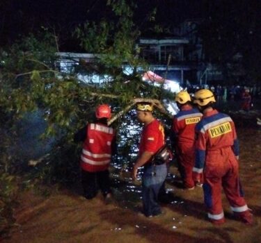 WhatsApp Image 2026-03-16 at 08.56.28