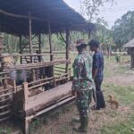 WhatsApp Image 2026-03-16 at 12.42.12