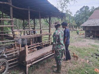 WhatsApp Image 2026-03-16 at 12.42.12