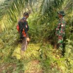 WhatsApp Image 2026-03-16 at 12.45.14