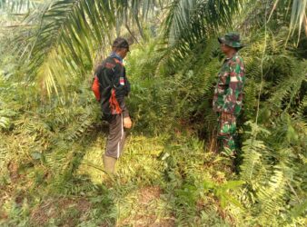 WhatsApp Image 2026-03-16 at 12.45.14