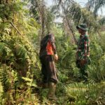 WhatsApp Image 2026-03-16 at 12.45.19