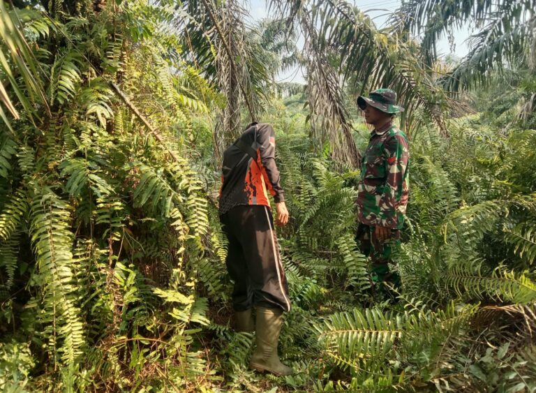 WhatsApp Image 2026-03-16 at 12.45.19