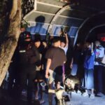 WhatsApp Image 2026-03-16 at 14.50.12