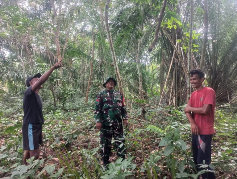 WhatsApp Image 2026-03-17 at 12.00.23