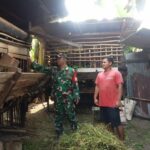 WhatsApp Image 2026-03-17 at 12.02.34