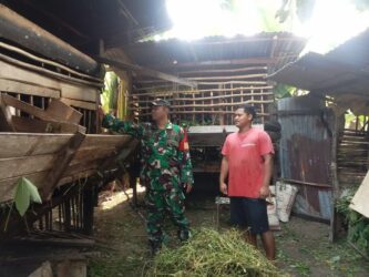 WhatsApp Image 2026-03-17 at 12.02.34