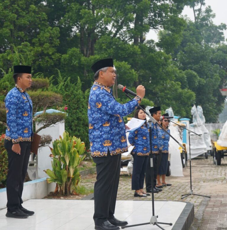 WhatsApp Image 2026-03-17 at 13.01.09