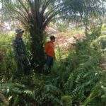 WhatsApp Image 2026-03-18 at 12.14.07