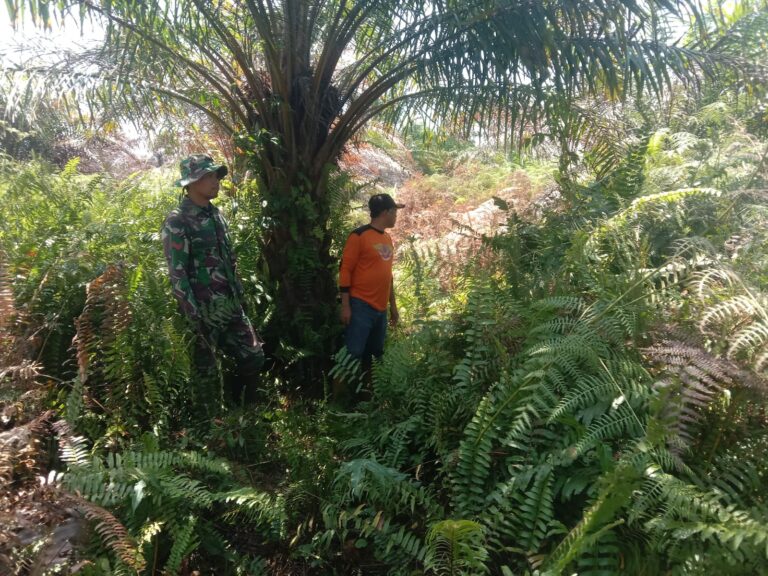 WhatsApp Image 2026-03-18 at 12.14.07