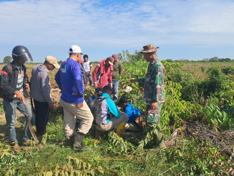 WhatsApp Image 2026-03-18 at 12.15.43