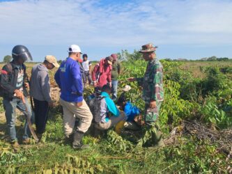 WhatsApp Image 2026-03-18 at 12.15.43