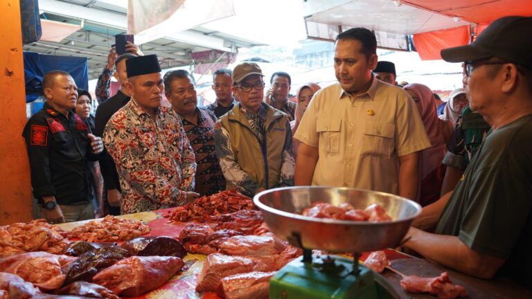 WhatsApp Image 2026-03-19 at 20.14.19