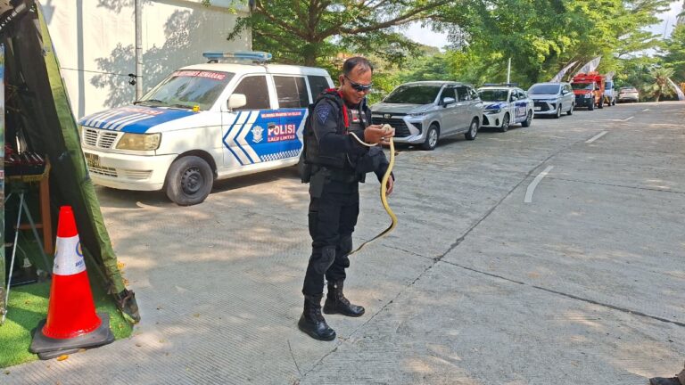 WhatsApp Image 2026-03-19 at 21.50.34