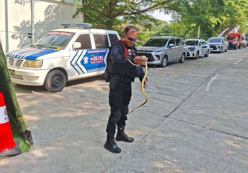 WhatsApp Image 2026-03-19 at 21.50.34