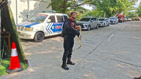 WhatsApp Image 2026-03-19 at 21.50.34