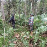 WhatsApp Image 2026-03-20 at 11.35.39