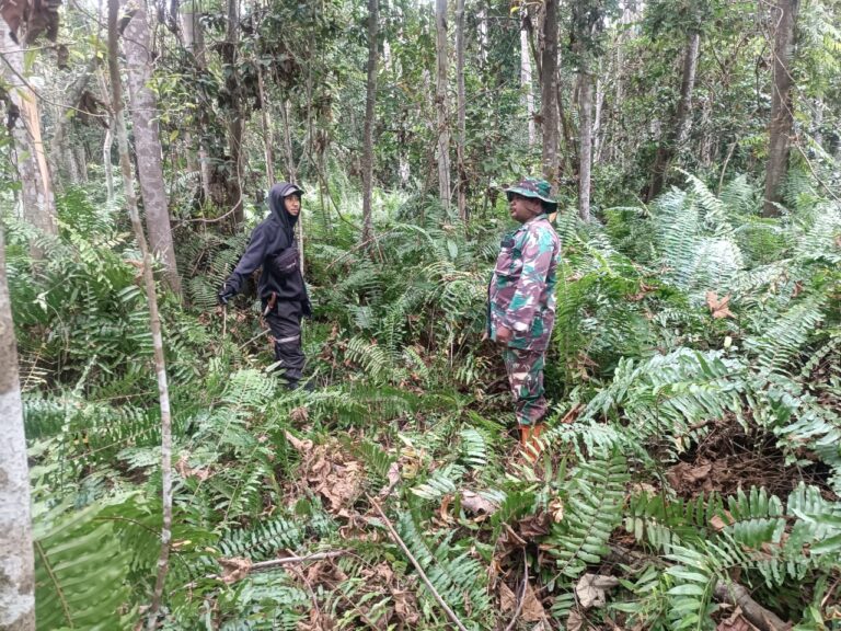 WhatsApp Image 2026-03-20 at 11.35.39