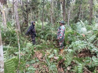 WhatsApp Image 2026-03-20 at 11.35.39